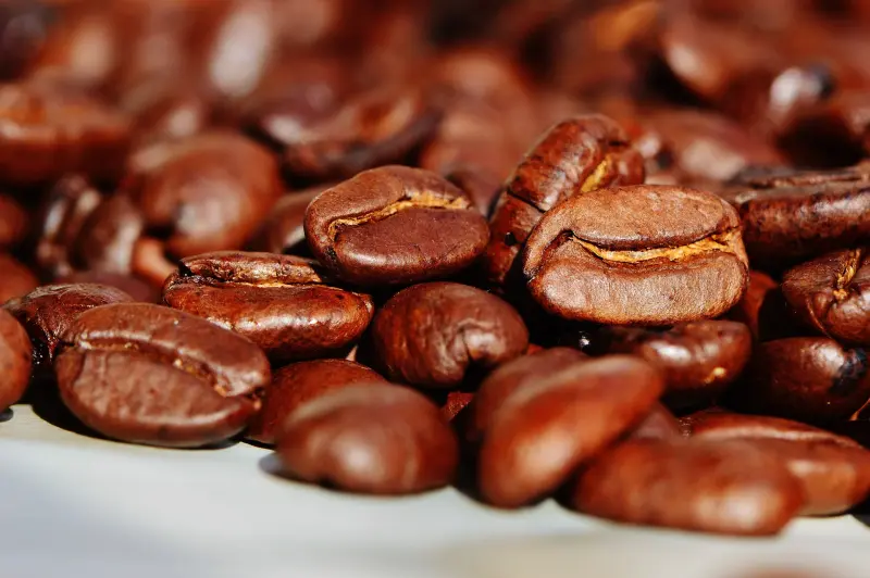 Coffee Beans - Glasgow Coffee Wholesalers