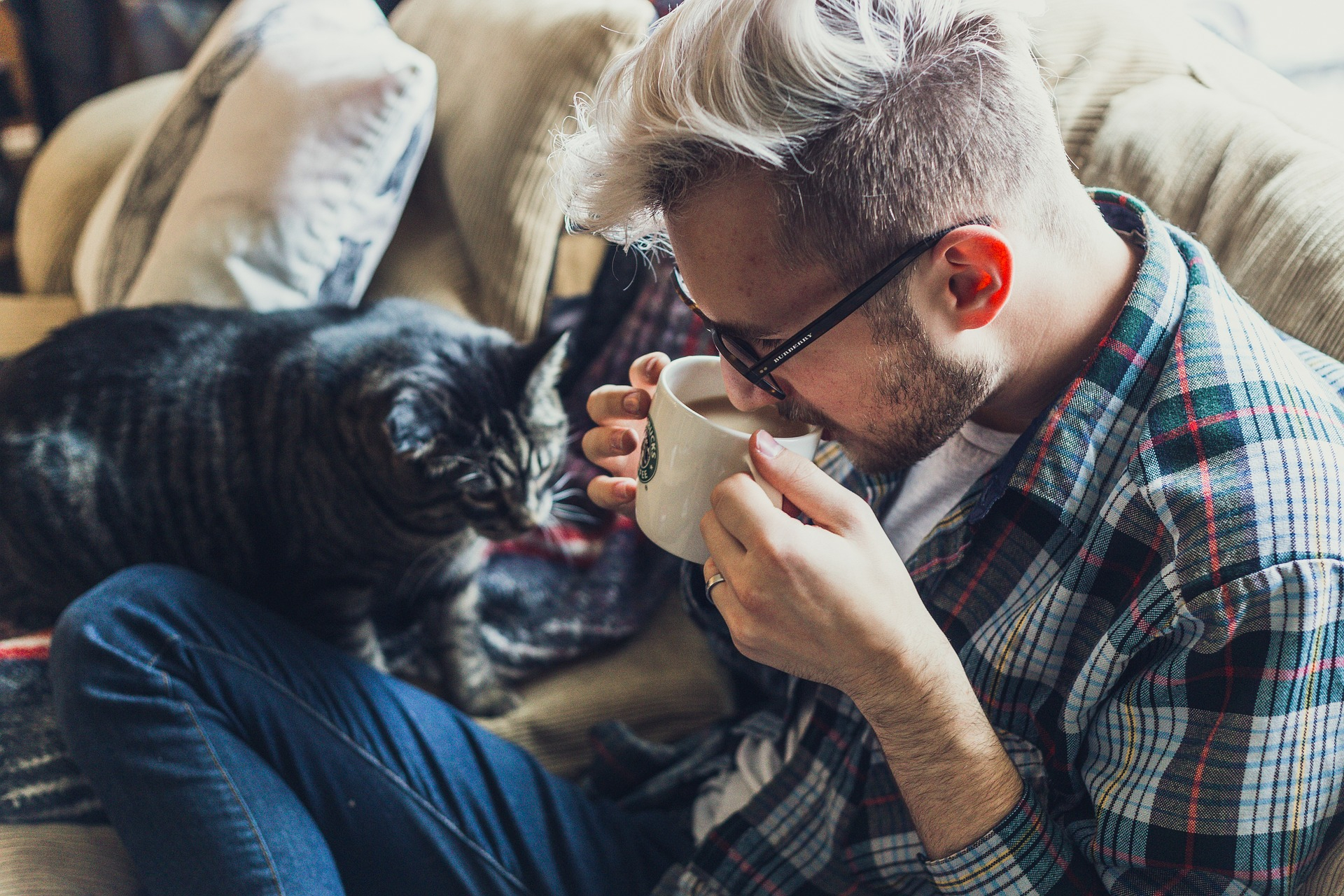 Which Coffee Has The Most Milk? - coffee machine suppliers UK