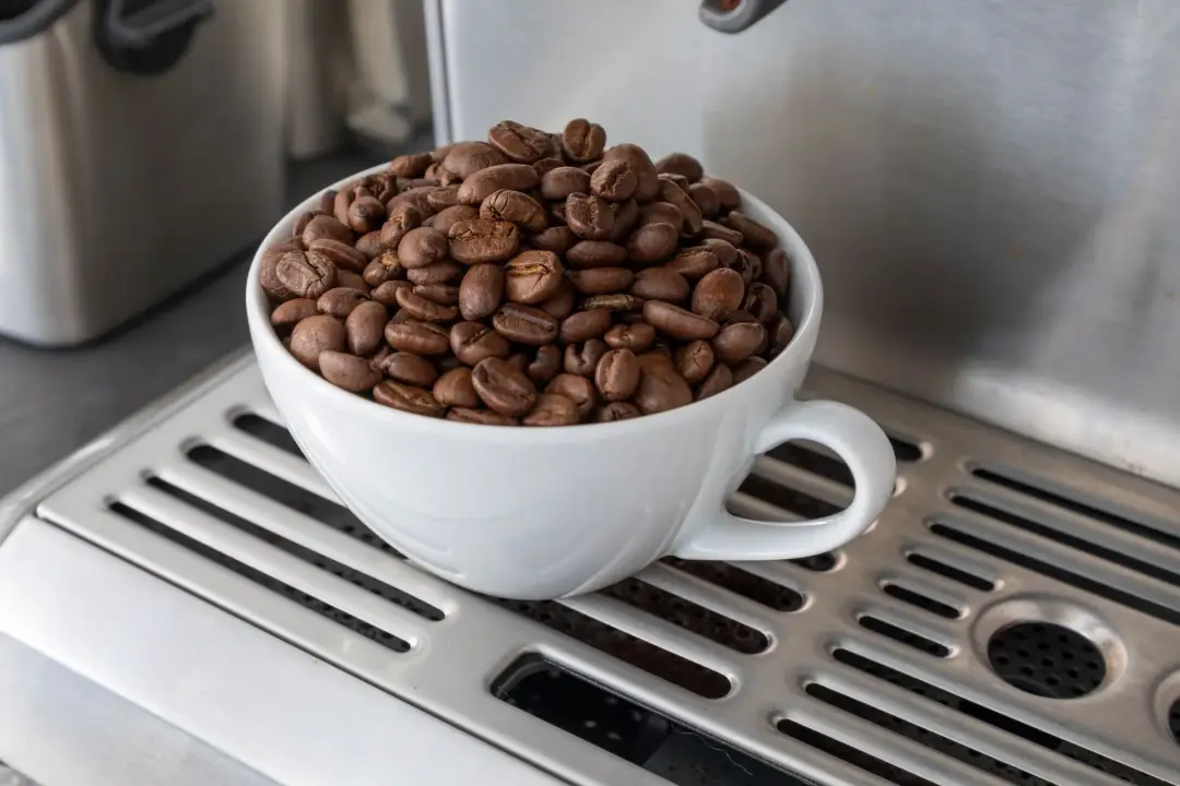Bean-to-Cup Machine Rental Glasgow, Edinburgh, Scotland